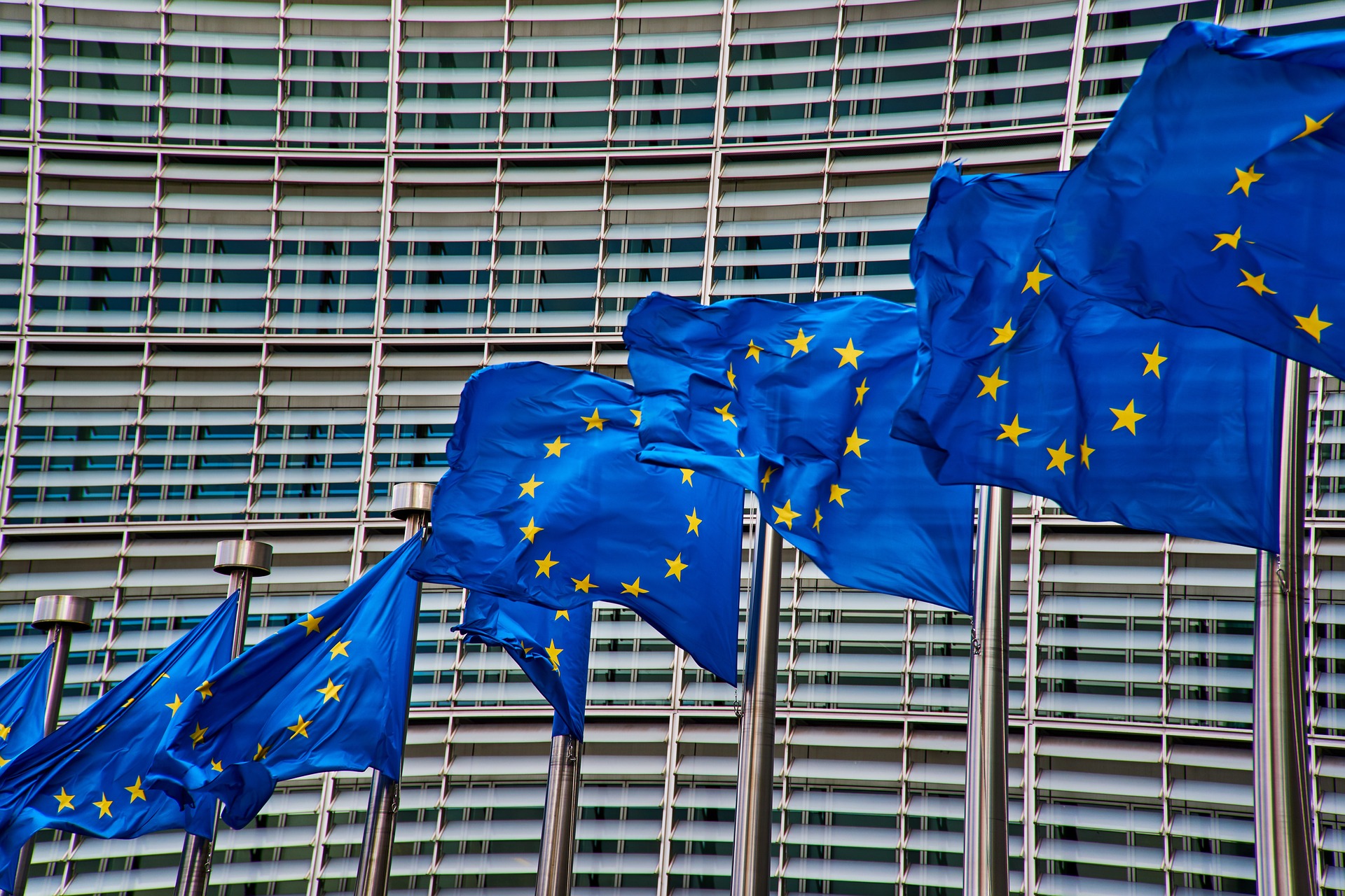 Flagi EU w Brukseli